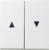 Gira Systeem 55 Interrupteur volets 029403 Blanc pur brillant