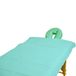 Teqler T-131042mint wegwerplaken voor onderzoeks-, massagestoelen en massagebanken, 200 cm x 70 cm, verpakking van 100 stuks