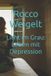 Licht Independently Published Licht im Grau