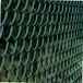 Icecat Ruitraster, acier galvanisé, vert, 10 mètres x 1,2 mètre