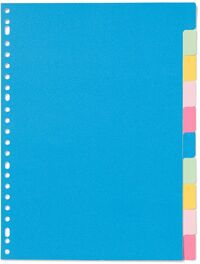 HEMA Tabbladen Karton - 10 Stuks