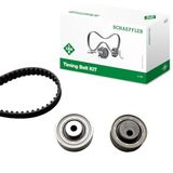 INA 530 0050 10 tandriemset