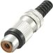 TRU COMPONENTS 719369 Connecteur Cinch, droit Nombre de pôles : 2 Noir 1 pièce(s)