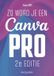 Zo Van Duuren Media B.V. Zo word je een Canva-pro