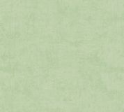 A.S. Création Lilly & Luis Vliesbehang Groen 53 cm x 1005 cm