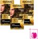 SYOSS Oleo Intense 6-10 Blond foncé Coloration permanente - 3 pièces