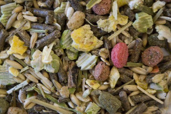 Witte Molen Country Dwerg Konijn - 15 kg - Konijnenvoer