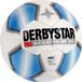 Derby Star Apus Pro TT Voetbal - Maat 5 - Polyurethaan - Multi