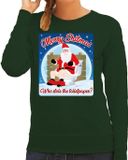 Bellatio Decorations Shoppartners Bv Foute Kersttrui / sweater - Merry shitmas who stole the toiletpaper - groen voor dames - kerstkleding / kerst outfit S