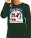 Bellatio Decorations Shoppartners Bv Foute Kersttrui / sweater - Merry shitmas who stole the toiletpaper - groen voor dames - kerstkleding / kerst outfit S