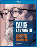 Janine Cmajor Paths Throughthe Labyrinth, Pendere