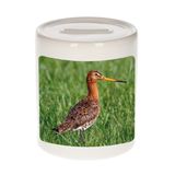 Bellatio Decorations Dieren grutto vogel foto spaarpot 9 cm jongens en meisjes - Cadeau spaarpotten grutto vogel vogels liefhebber
