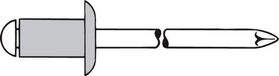 Gesipa 1433487 Rivet standard - Tête plate bombée - Ouvert - AL/ST - 4,0 x 10mm (500 pièces)