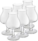 Royal Leerdam Speciaal Bierglazen Lund - 12x stuks - 260 ml - Hoog glas op voet - Belgische bieren special