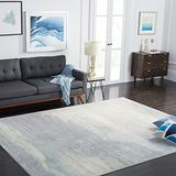 Safavieh Abstract tapijt voor woonkamer, eetkamer, slaapkamer, jaspiscollectie, laagpolig, grijs en goud, 160 x 160 cm