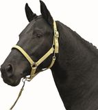 HKM Halster Stars Softice zachtgeel Koudbloed paard