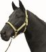 HKM Halster Stars Softice zachtgeel Koudbloed paard
