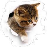 Ambiance Sticker VERBORGEN KAT - 55 x 55 cm