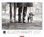 Magnum Weingarten Magnum Photos - Elliott Erwitt Kalender 2027