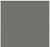 vidaXL - Rolgordijn - verduisterend - 160x130 cm - stofbreedte 156,6 cm - grijs
