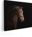 Artaza Canvas Schilderij Bruin Paard - 50x40 cm - Canvas Print