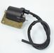 P2R Bobine HT voor Bromfiets Piaggio 50 Ciao PX (Zwart)