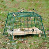 Cj wildbird CJ Wildlife Beschermkooi voor Voedertafel - Maxi - Groen