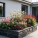 Green boutiQ Vasteplant Borderpakket Schaduw Diversen Soorten en kleuren 12 Planten Pot 11cm Hoogte 15-25cm