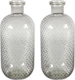 Countryfield Vase Cactus Dots - 2x - gris transparent - verre - D15 x H35 cm