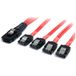 Startech.com 50 cm Mini SAS SFF-8087 naar 4x SATA-kabel