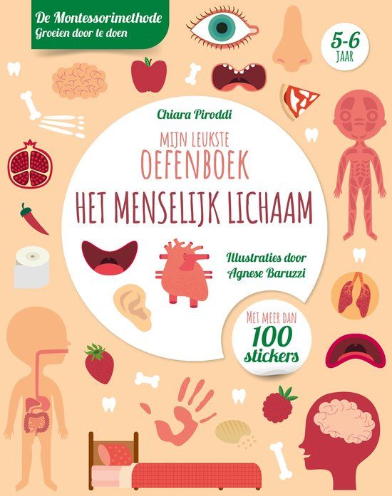 Top1Toys Rebo Productions Mijn leukste oefenboek het menselijk lichaam