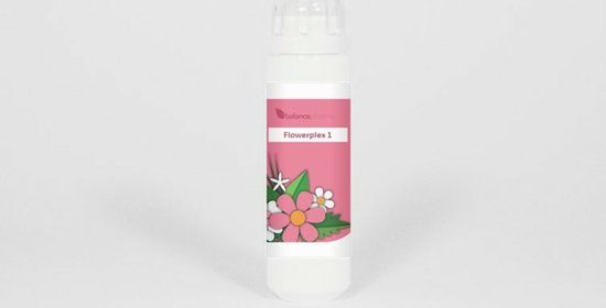 Balancepharma HFP001 Spirituele helderheid Flowerplex 6 Gram
