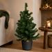 Everlands Kerstboom Mini Groen Kunststof Pot Antraciet Grijs 75cm Kunstboom