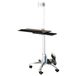 Value Mobile PC Cart, silver - 17.99.1174