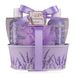 Accentra - Doucheset Dames Cadeauset Lavendel in Mooie Metalen Box - 4-delige Verzorgingsset met Douchegel, Bodylotion, Bubbelbad & Netspons - Wellness Cadeauset voor Verjaardagen, Valentijnsdag