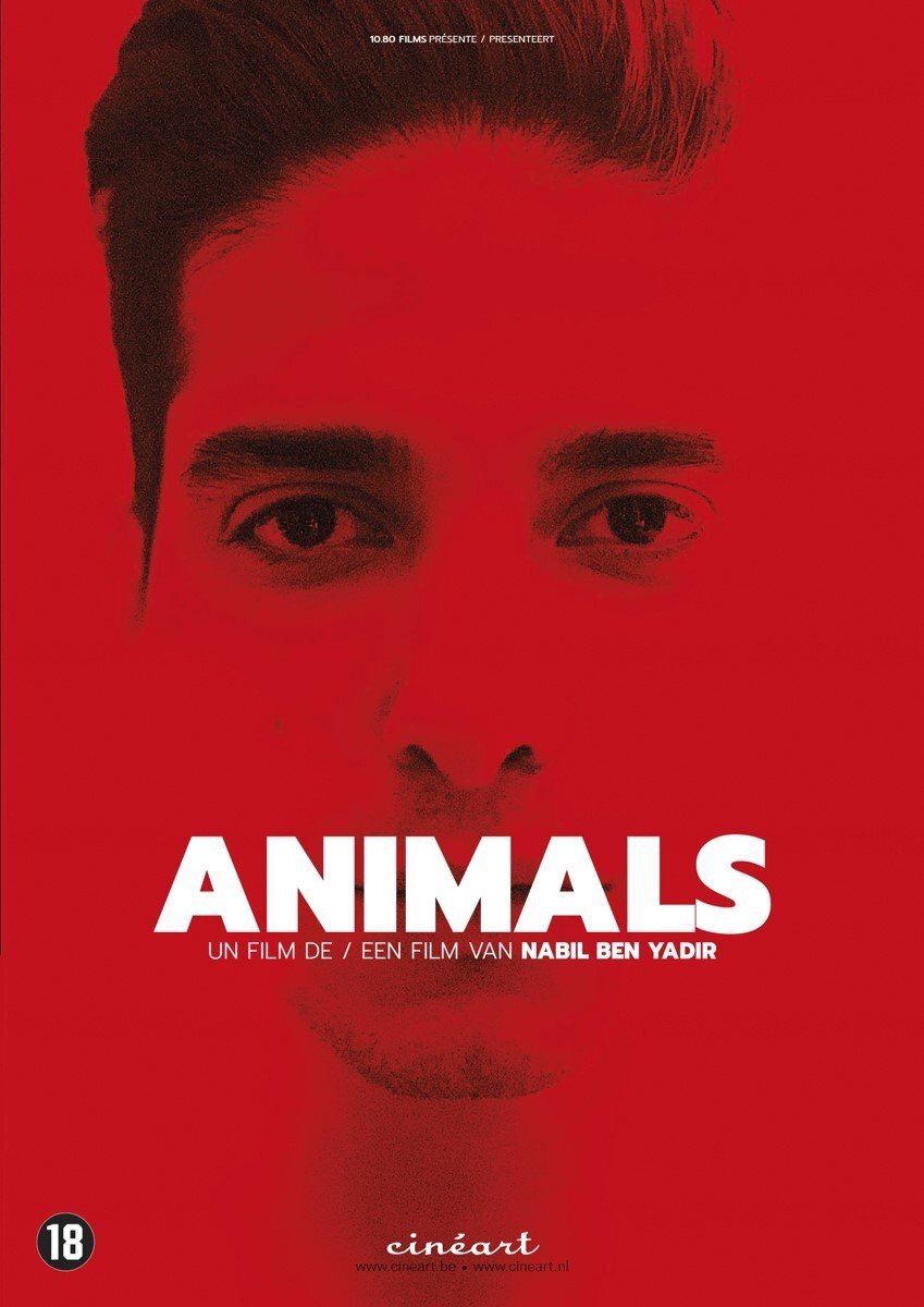 PIAS Nederland Animals (DVD)