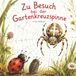 Zu Icecat Zu Besuch bei der Gartenkreuzspinne