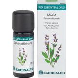 EQUISALUD Huile essentielle de sauge biologique. 10 ml huile essentielle