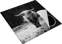 Chefcare Inductie Beschermer Schotse Hooglander bij het Bos - Zwart Wit - 78x78 cm