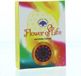 Green Tree Kegelwierook Flower Of Life - 10 pièces
