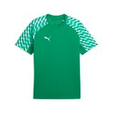 PUMA teamLIGA26 Jersey