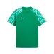 PUMA teamLIGA26 Jersey