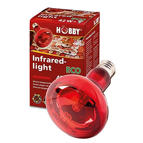 Hobby 37582 Infraredlight Eco, 42 W