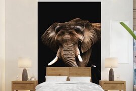 Nr1Wallpaper Behang - Fotobehang Olifant - Zwart - Dieren - Breedte 225 cm x hoogte 350 cm