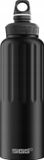 SIGG Aluminium drinkfles Traveller
