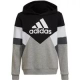 Adidas Kinder sweatshirt Colorblock Fleece