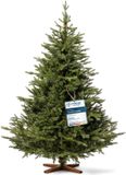 FairyTrees Kunstkerstboom – Nordmann Exklusiv (FT06), 220 cm, 100% PE spuitgegoten takken, handgemaakte essenhouten standaard, Made in EU.