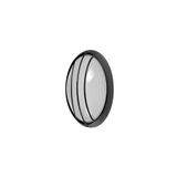 Zarivy Wandlamp Ext. ovaal, aluminium, klein, zwart