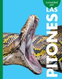 Curiosidad Libri GmbH Curiosidad Por Las Pitones Paperback