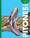 Curiosidad Libri GmbH Curiosidad Por Las Pitones Paperback